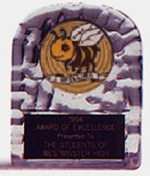 Acrylic Block Ice Scholastic Award