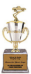 Pickup Cup Trophies BMRC Series