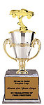 Pickup Cup Trophies BMRC Series