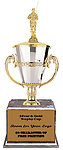 Fisherman Cup Trophies BMRC Series