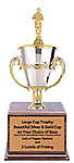 Cup Trophies Angler 432 CFRC Series