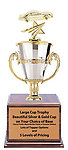 Star Stock Car Racing Cup Trophies CFRC Series