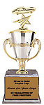 Corvette Cup Trophies BMRC Series