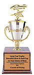 Corvette Trophies CFRC Cup Series