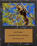 Squirrel Hunt Plaques V Series
