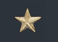 Star Letter Pin 161