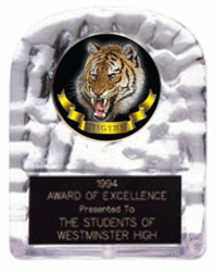 School Spirit Block Ice Mascot Trophies