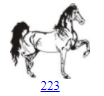 223.gif