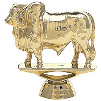 BULL-BRAMHA-734-G.jpg