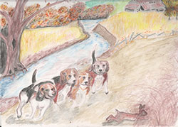 Paula-beagles.jpg