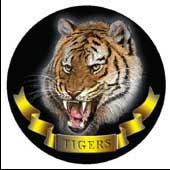 TIGER-71631.jpg