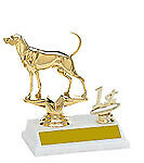 2BF Coonhound Bench Show Trophies