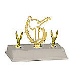 Base and Topper Martial Arts Trophy
