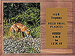 Genuine Walnut H Series Fox & Coyote Plaques
