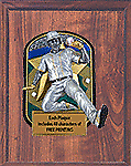 Check Out Our Volume Discounts on this Baseball Plaque